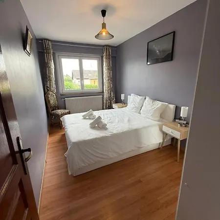 Le Monde Sous Le Meme Toit - 10 Voyageurs - 25 Mn Europapark Benfeld