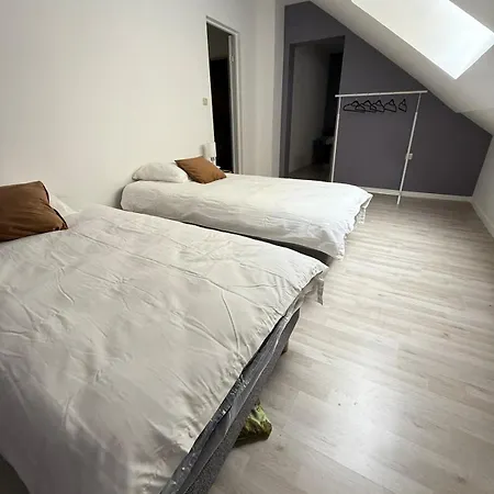 Le Monde Sous Le Meme Toit - 10 Voyageurs - 25 Mn Europapark Benfeld