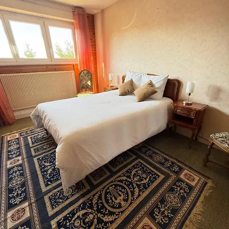 Le Monde Sous Le Meme Toit - 10 Voyageurs - 25 Mn Europapark * Benfeld