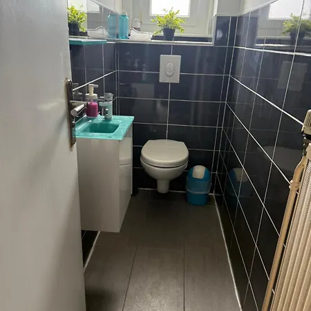 Ferienhaus Le Monde Sous Le Meme Toit - 10 Voyageurs - 25 Mn Europapark Benfeld